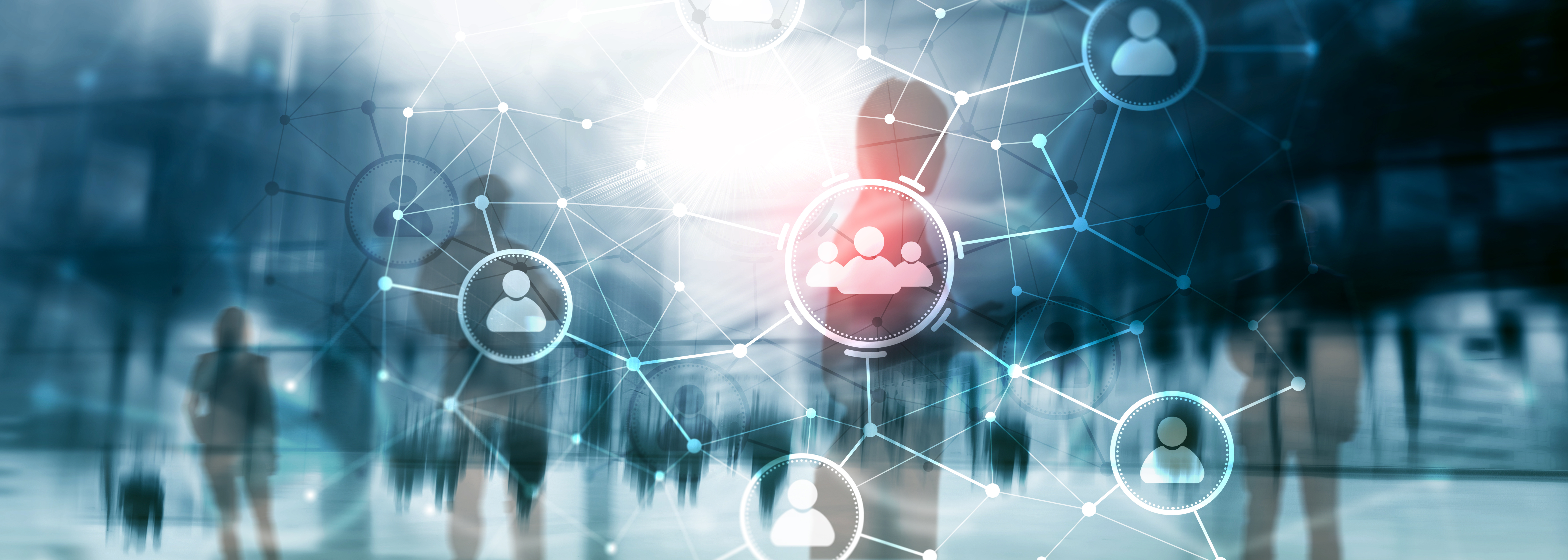 Vernetzung IT-Consulting
